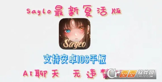 新版sayloAI官方正版 新版sayloAI官方正版