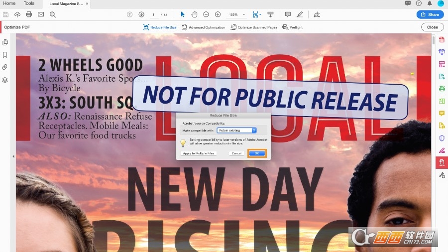 Adobe Acrobat DC 2026中文免费版 v2026.001.21483 正式版