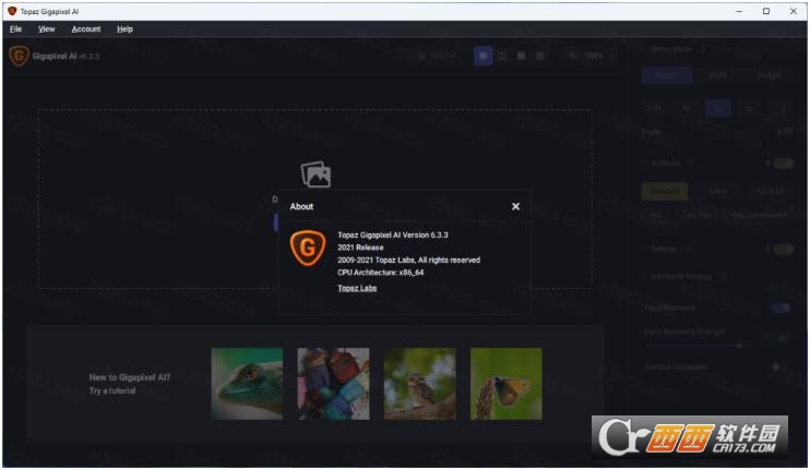 Topaz Gigapixel AI 6.3.3绿色便携版 免费版