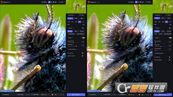 Topaz Gigapixel AI 6.3.3绿色便携版 免费版