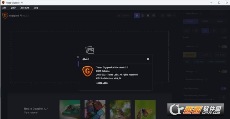 Topaz Gigapixel AI 8.4.0绿色便捷版 Windows版