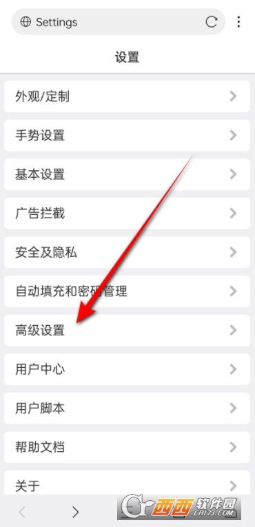 X浏览器安卓5.0极简版 X浏览器安卓5.0极简版