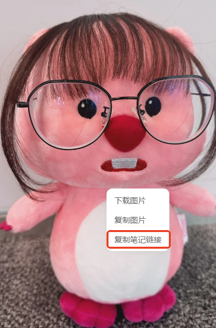 小红书下载器免费版 小红书下载器免费版
