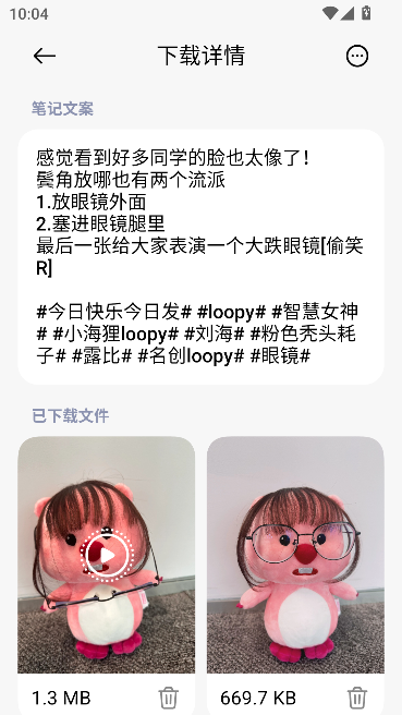 小红书下载器免费版 小红书下载器免费版