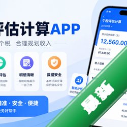 个税评估计算app最新版