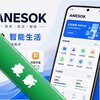 ANESOK���°�׿��