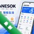 ANESOK���°�׿��v1.0.087