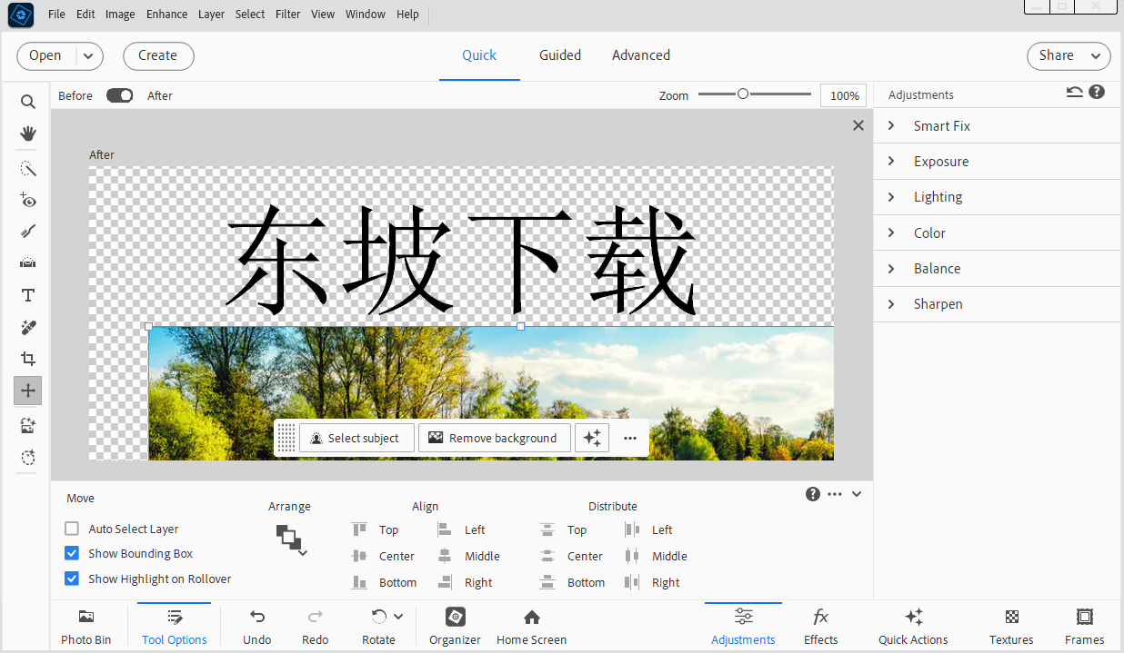 Photoshop Elements2026正版安装包 v26.2 可激活版