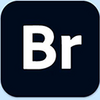 Adobe Bridge 2025�Ѽ������İ�