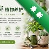 Floraeֲ������ͼ��