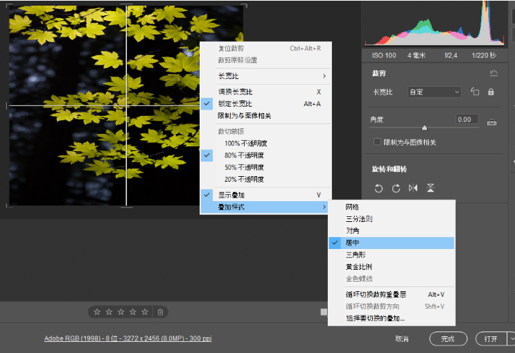 Adobe Camera Raw 18中文版 v18.2.1 免费版