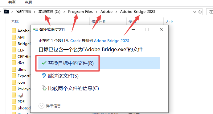 Adobe Bridge 2023���ļ����