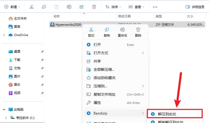 Altair Hyperworks 2026����������