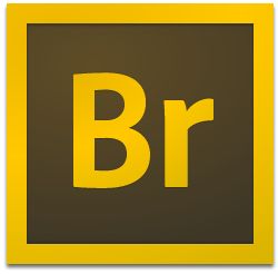 Adobe Bridge CC2020中文破解版完美版