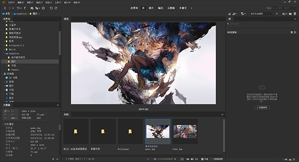 Adobe Bridge运行截图