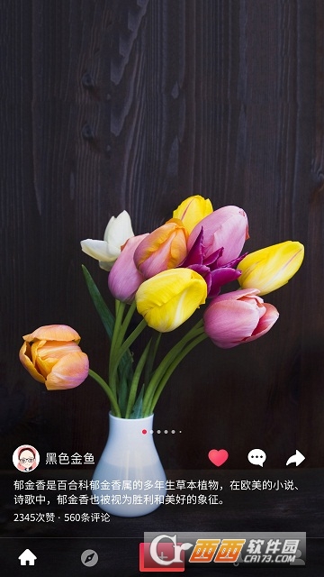 好看APP
