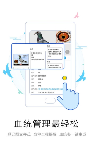 ������app