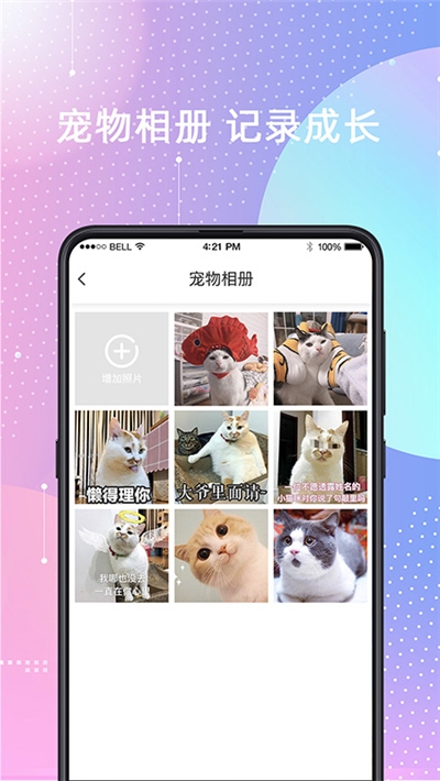 猫叫狗叫交流器 猫叫狗叫交流器