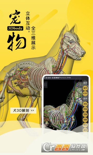 3Dbody宠物 3Dbody宠物