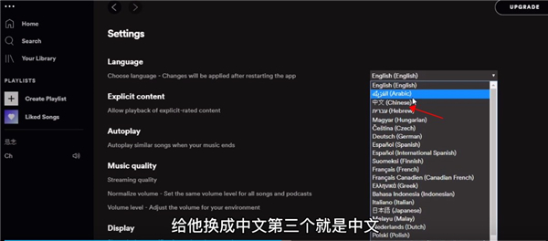 Spotify流媒体音乐播放器 Spotify流媒体音乐播放器