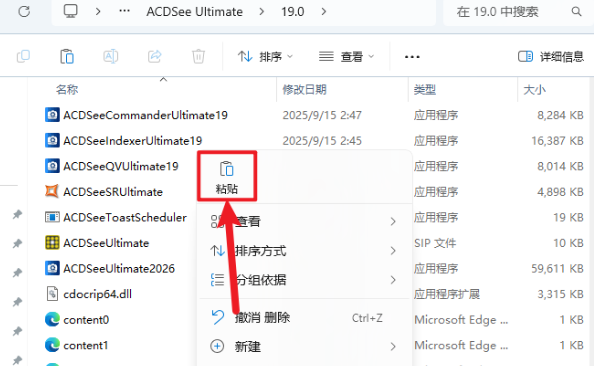 ACDSee 2026�����ƽ��