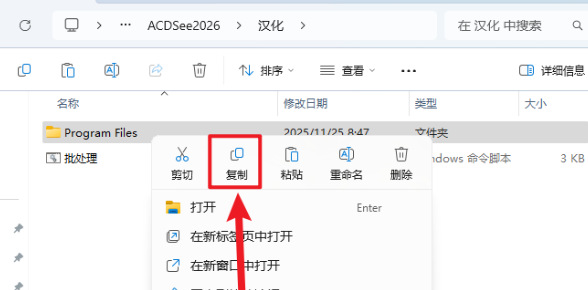 ACDSee 2026�����ƽ��