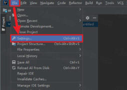 IntelliJ IDEA 2022�����ƽ��