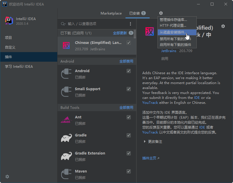 IntelliJ IDEA 2020 �콢����Ѱ�