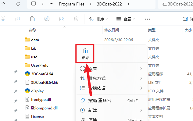 3DCoat 2022�����ƽ��