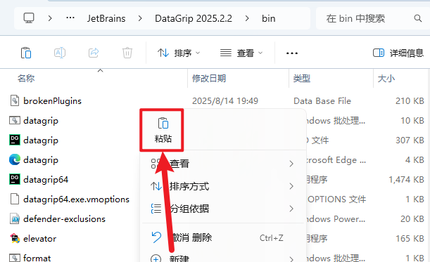 JetBrains DataGrip 2025�����ƽ��