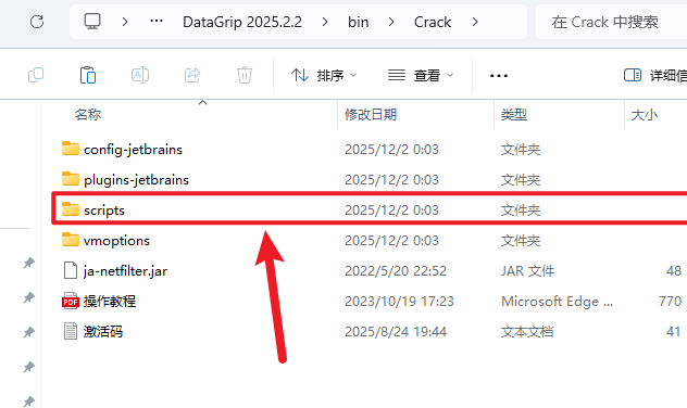 JetBrains DataGrip 2025�����ƽ��