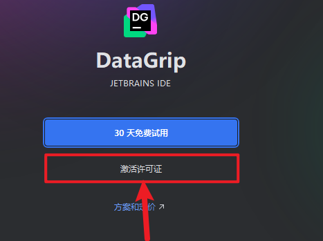 JetBrains DataGrip 2025�����ƽ��