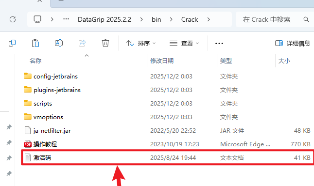 JetBrains DataGrip 2025�����ƽ��