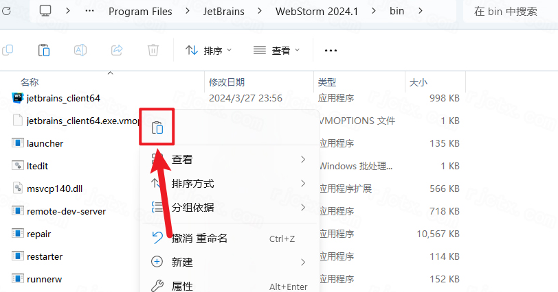 JetBrains WebStorm 2024���ļ����