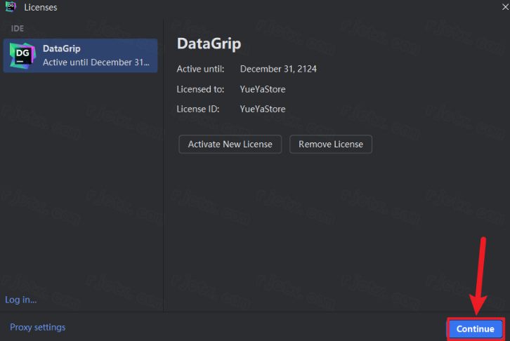 JetBrains DataGrip 2024���İ漤���