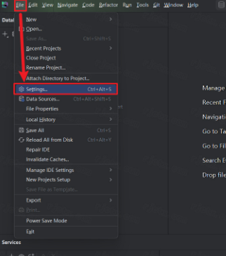 JetBrains DataGrip 2024���İ漤���