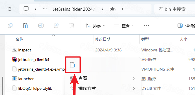 JetBrains Rider 2024���ĵ��԰�