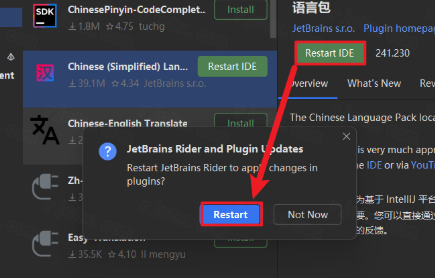 JetBrains Rider 2024���ĵ��԰�