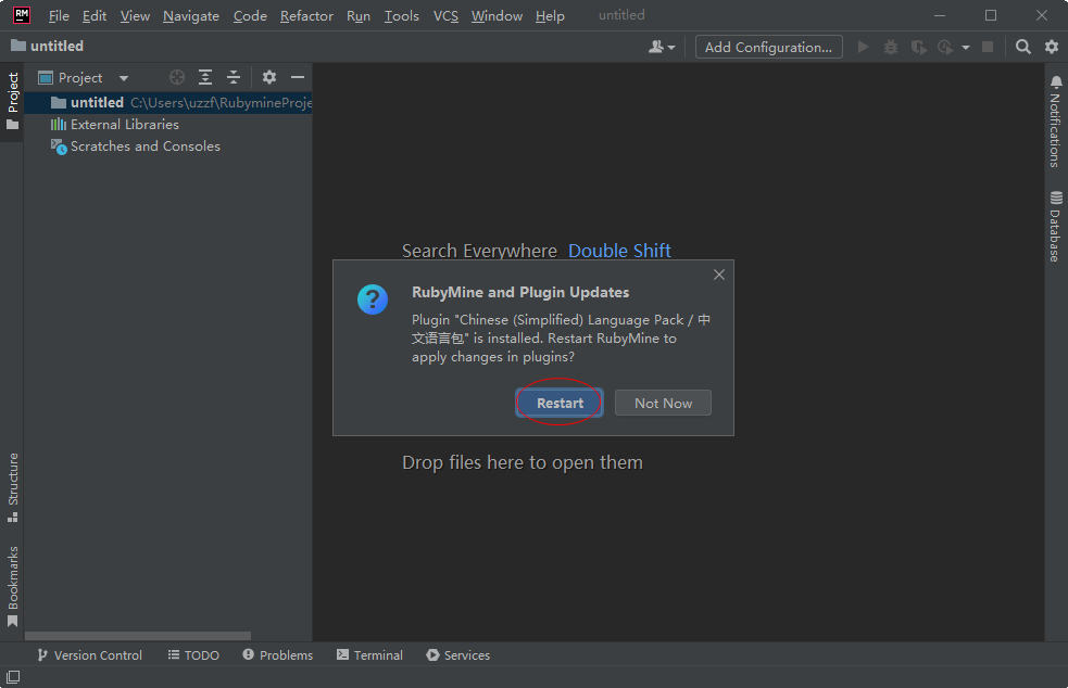 JetBrains RubyMine 2022.1.3 �����ƽ��