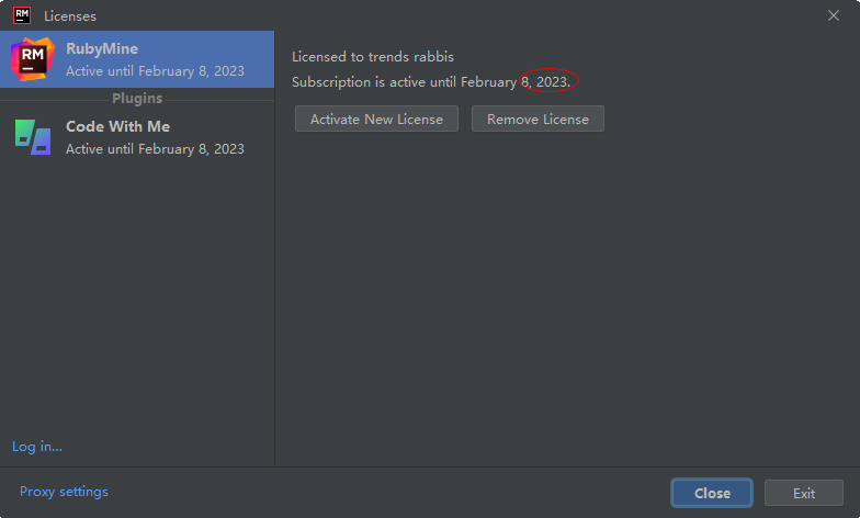 JetBrains RubyMine 2022.1.3 �����ƽ��