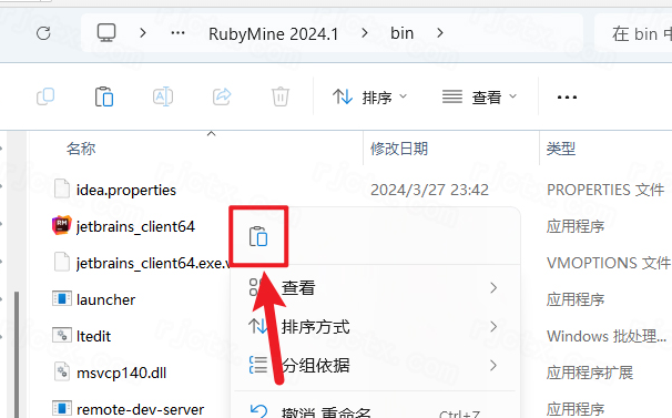 JetBrains RubyMine 2024���ü����