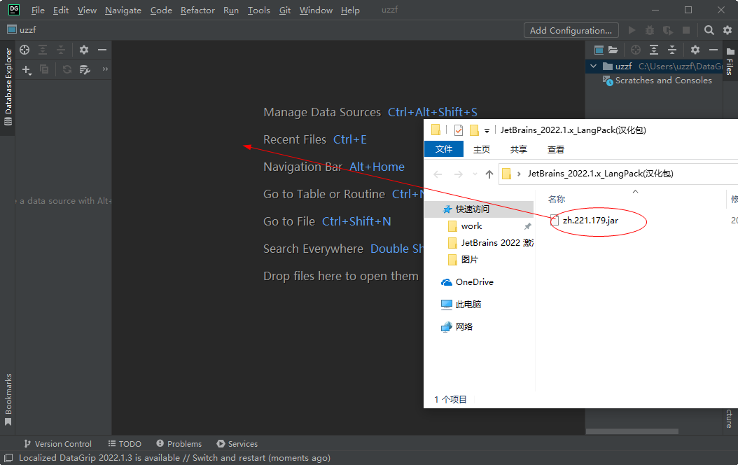 JetBrains DataGrip 2022 �����ƽ����°�