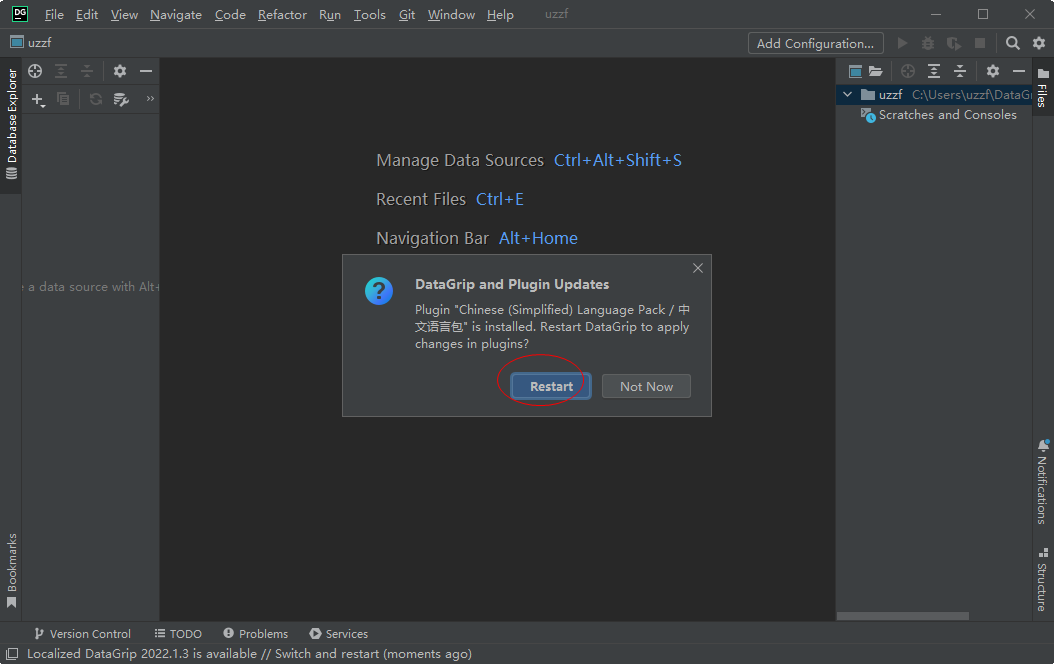 JetBrains DataGrip 2022 �����ƽ����°�