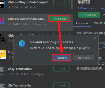 JetBrains GoLand 2023�������°�
