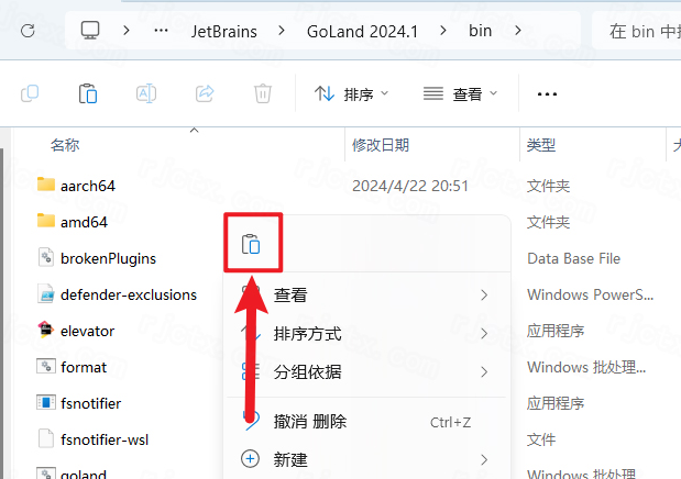JetBrains GoLand 2024���Ľ�����