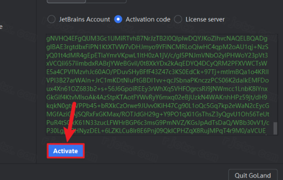 JetBrains GoLand 2024���Ľ�����