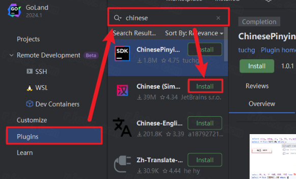 JetBrains GoLand 2024���Ľ�����