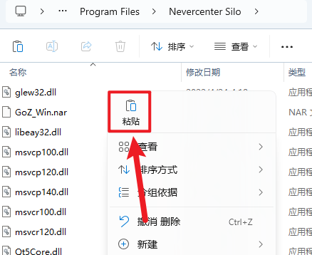 Nevercenter Silo 2025�����