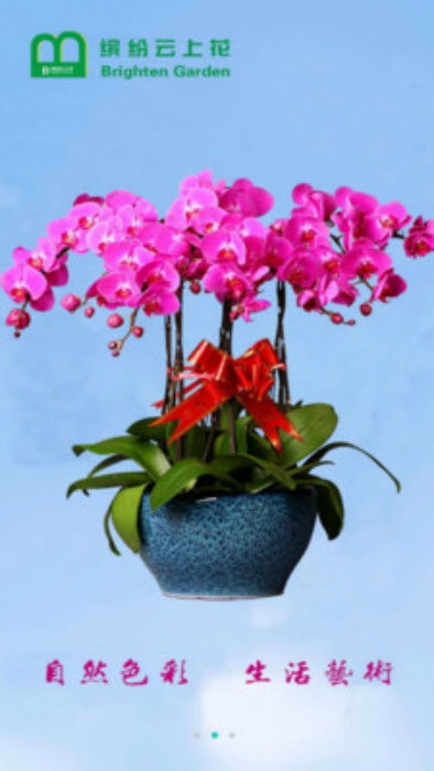 缤纷云上花 缤纷云上花
