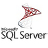SQL Server 2025���ļ����